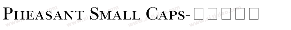 Pheasant Small Caps字体转换